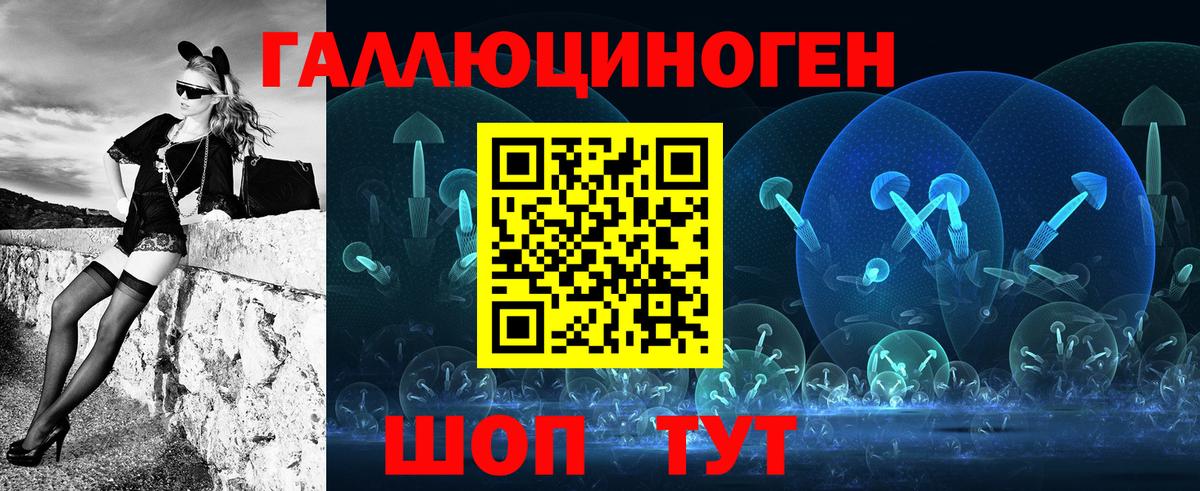 Псилоцибиновые грибы Psilocybe Азов