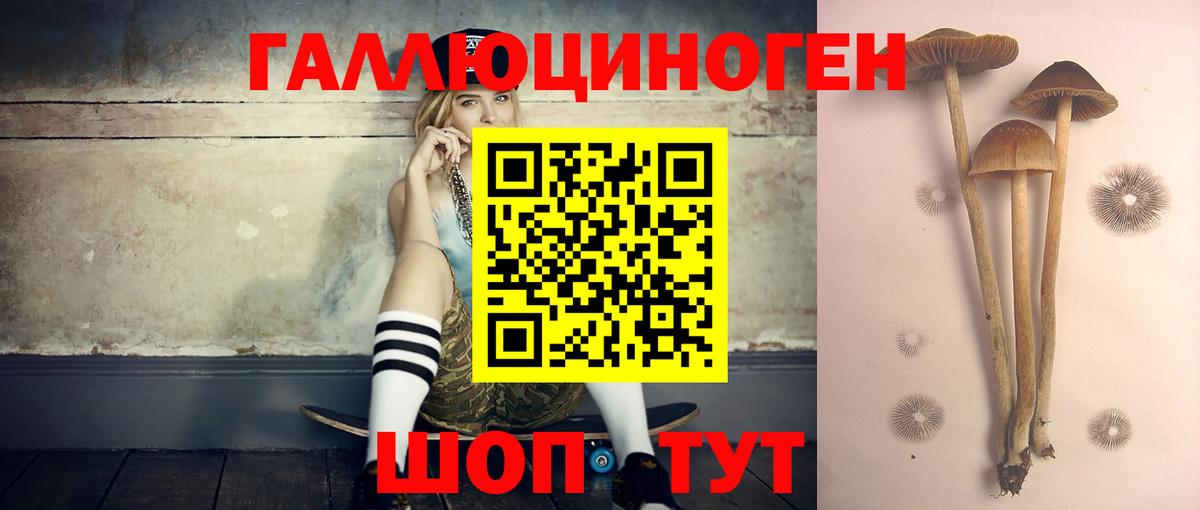 Азов  Галлюциногенные грибы MAGIC MUSHROOMS  Вход с VPN 